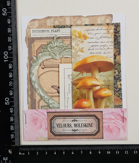 Mini Assorted Ephemera Pack - ZA