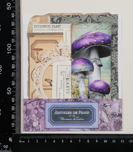 Mini Assorted Ephemera Pack - ZB