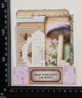 Mini Assorted Ephemera Pack - ZC