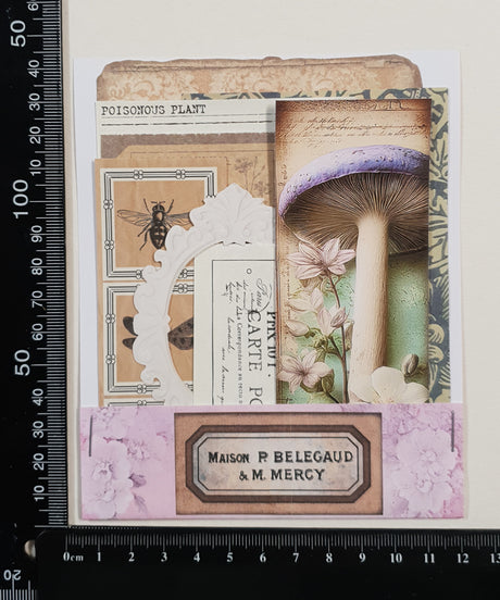 Mini Assorted Ephemera Pack - ZC
