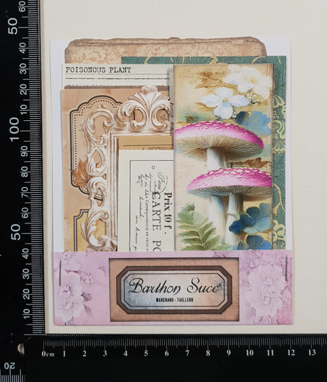 Mini Assorted Ephemera Pack - ZD