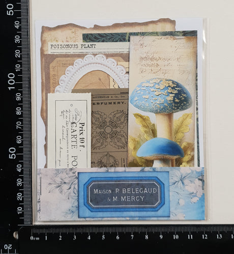 Mini Assorted Ephemera Pack - ZE