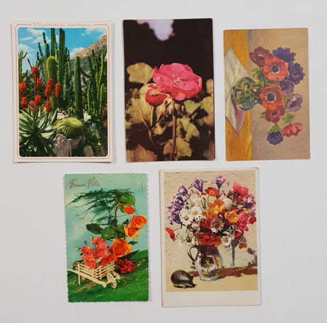 Pack of 5 Authentic Vintage Floral Postcards