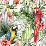 Decoupage Napkin - (DN-8101) - Macaw