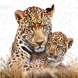 Decoupage Napkin - (DN-8135) - Leopard Mum & Cub