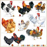 Decoupage Napkin - (DN-8100) - Poulets