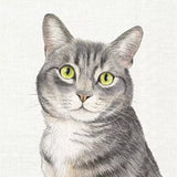 Decoupage Napkin - (DN-8249) - Farm Cat