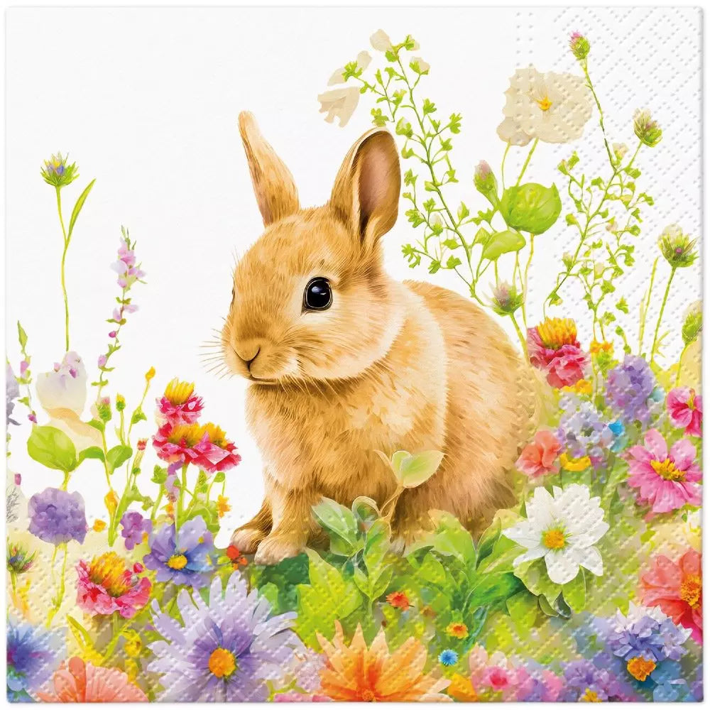Decoupage Napkin - (DN-8058) - Spring Morning