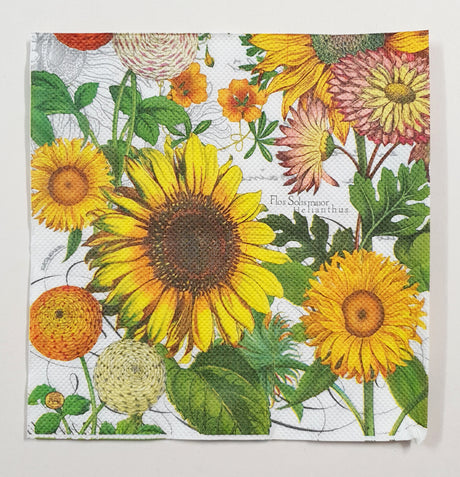 Inspiration Pack - HK