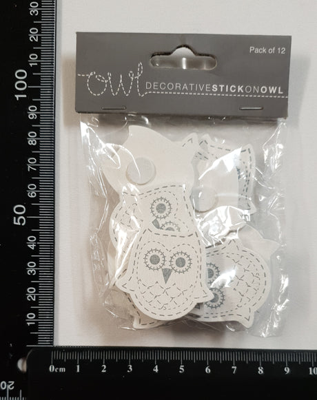 Owls - Pack of 12