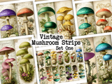 Vintage Mushroom Strips - Set One - DI-10312 - Digital Download