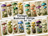 Vintage Mushroom Strips - Set One - DI-10312 - Digital Download