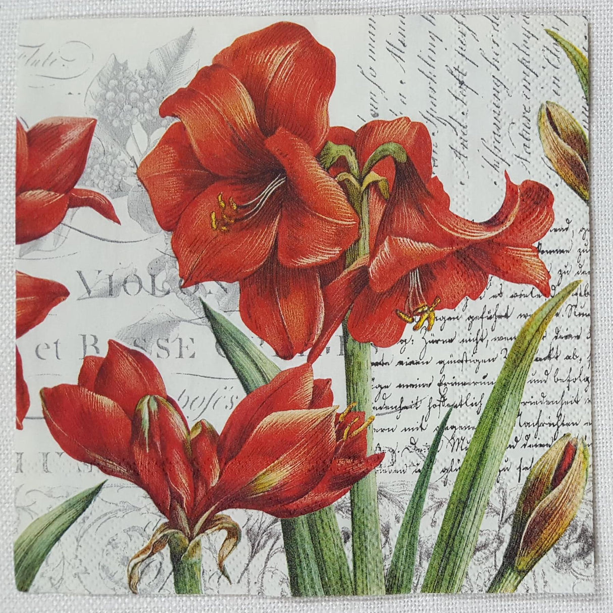 Decoupage Napkin - (DN-8058) - La Beauté Rouge - Cream