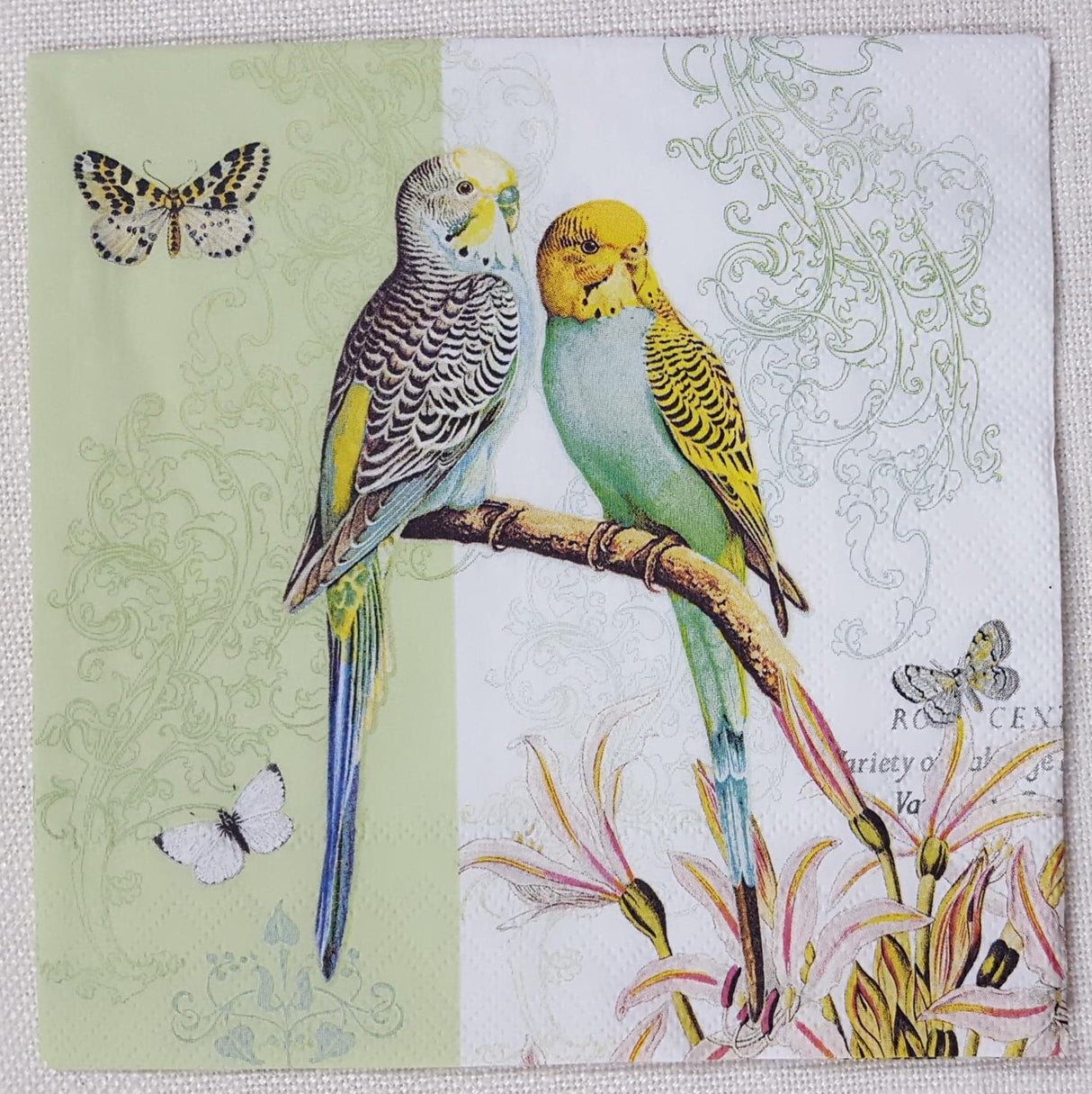 Decoupage Napkin - (DN-8072) - Budgies - Green