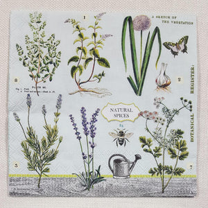 Decoupage Napkin - (DN-8124) - Herbs Garden