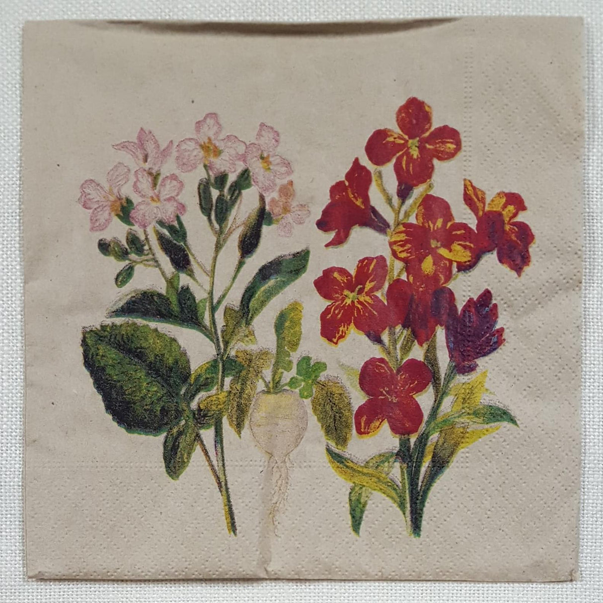 Decoupage Napkin - (DN-8143) - Botanical