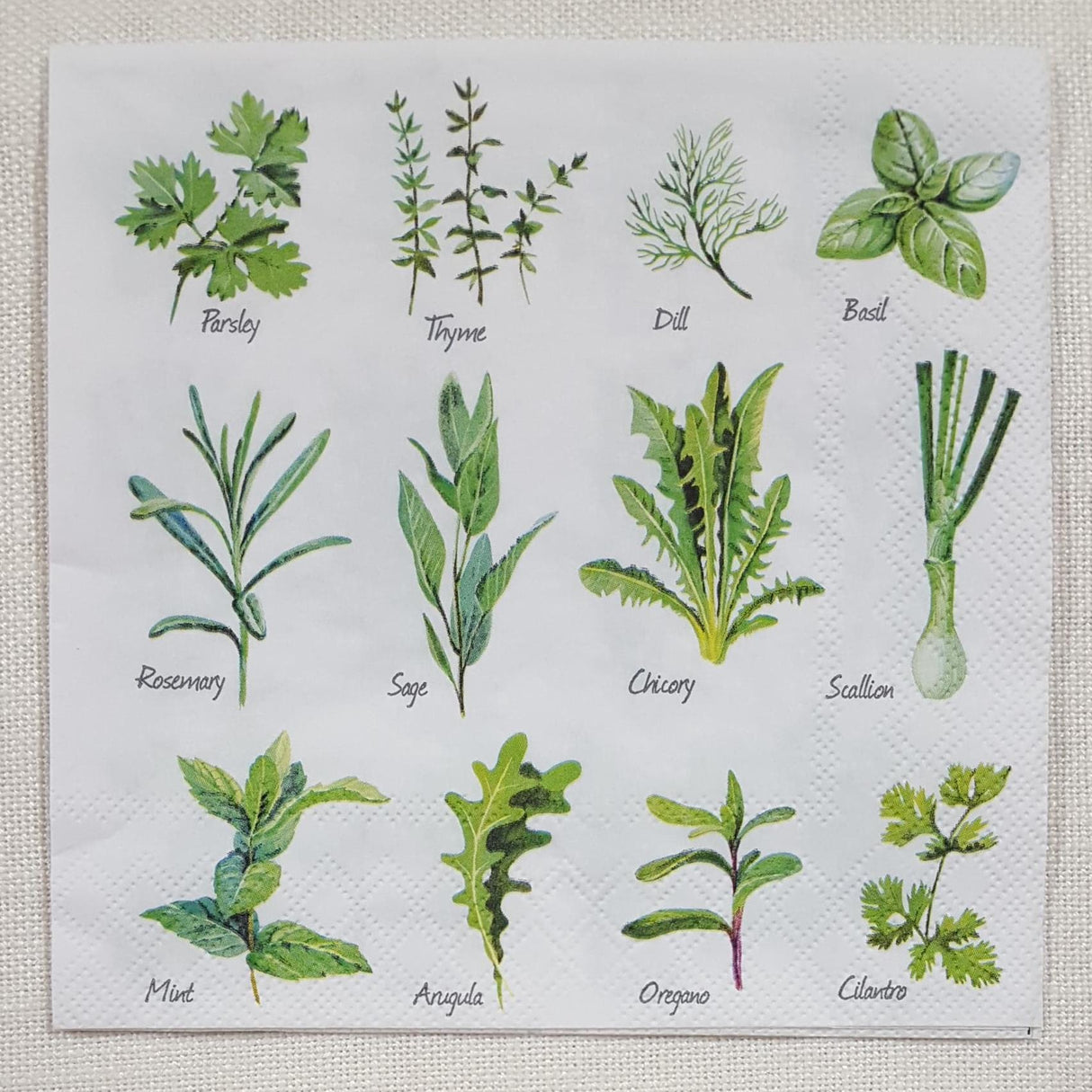 Decoupage Napkin - (DN-8210) - Herb