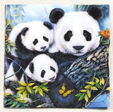 Decoupage Napkin - (DN-8259) - Panda