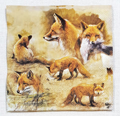 Decoupage Napkin - (DN-8263) - Portraits Of Foxes