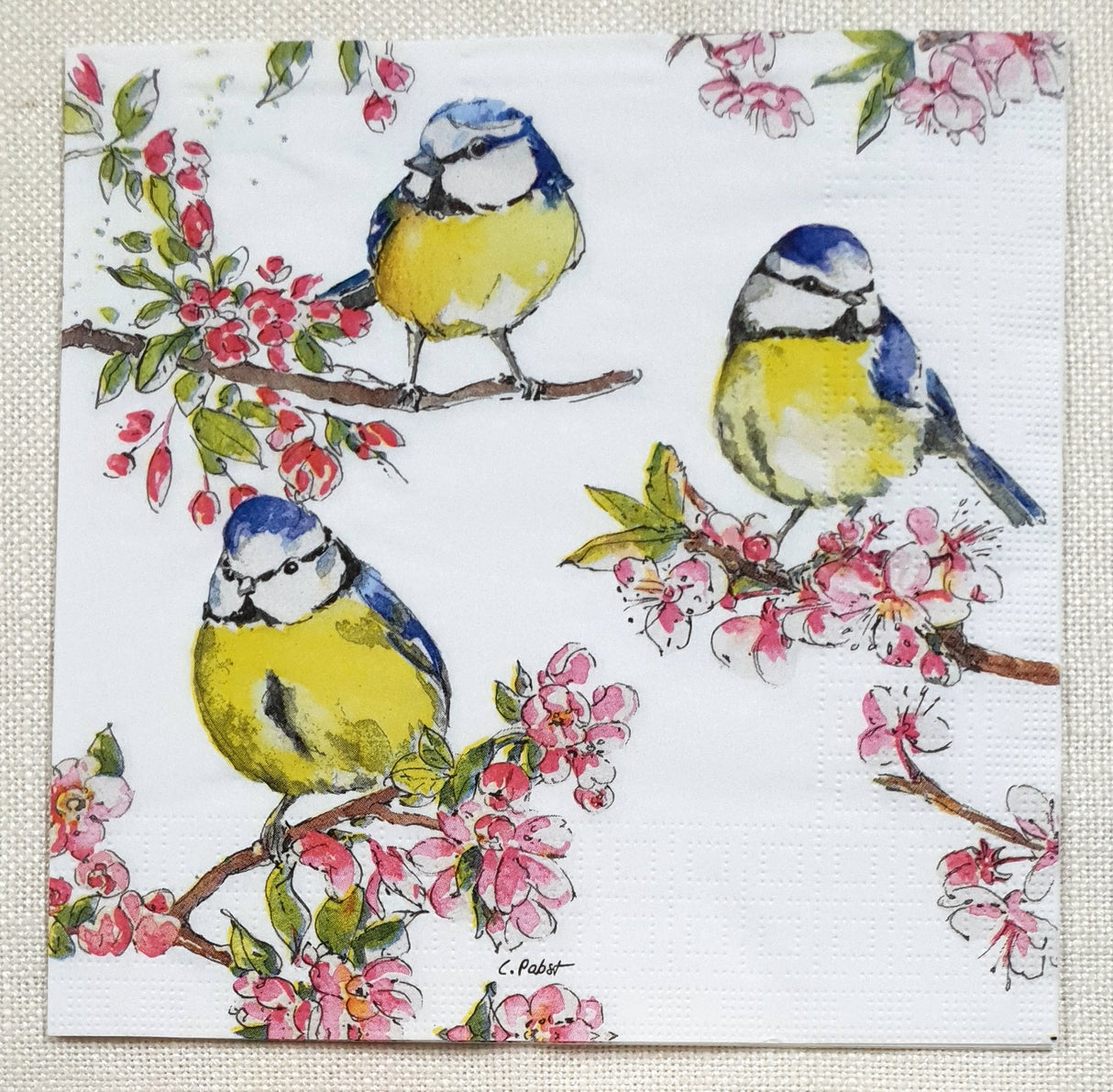 Decoupage Napkin - (DN-8343) - Summer Choir