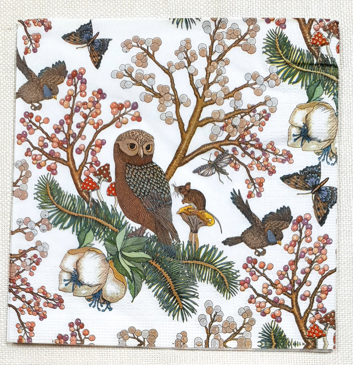 Decoupage Napkin - (DN-8347) - Nature