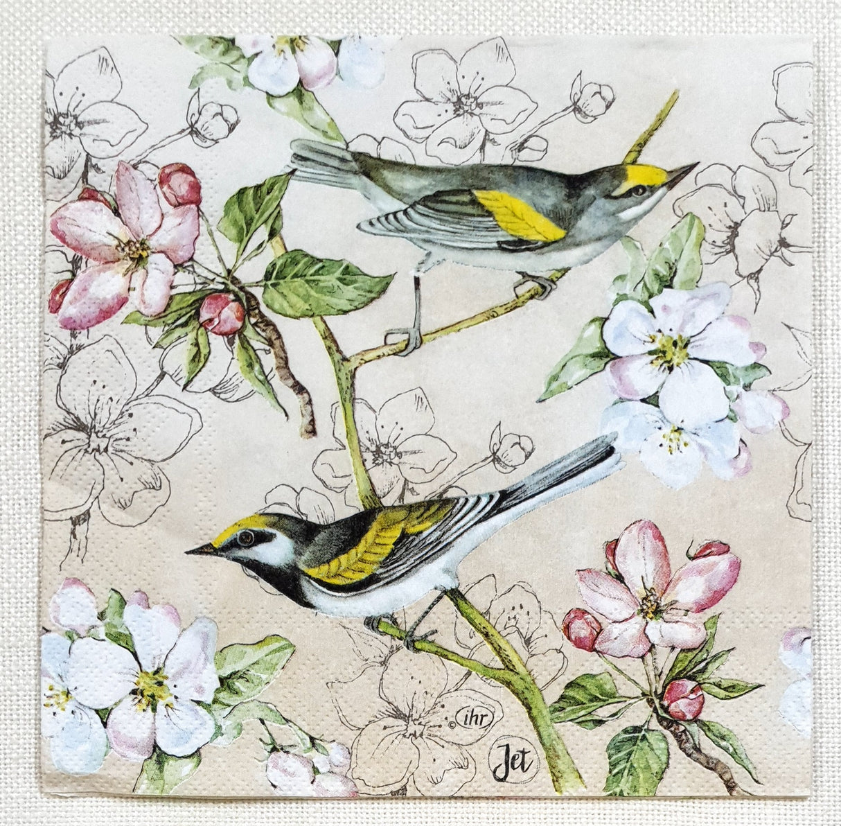 Decoupage Napkin - (DN-8390) - Birds Symphony - Cream