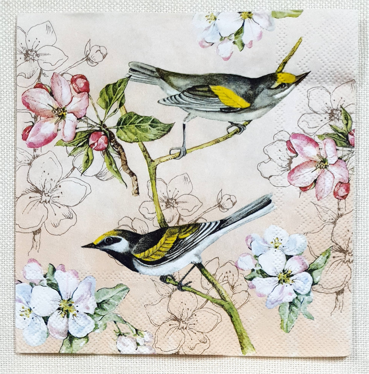 Decoupage Napkin - (DN-8394) - Birds Symphony - Apricot