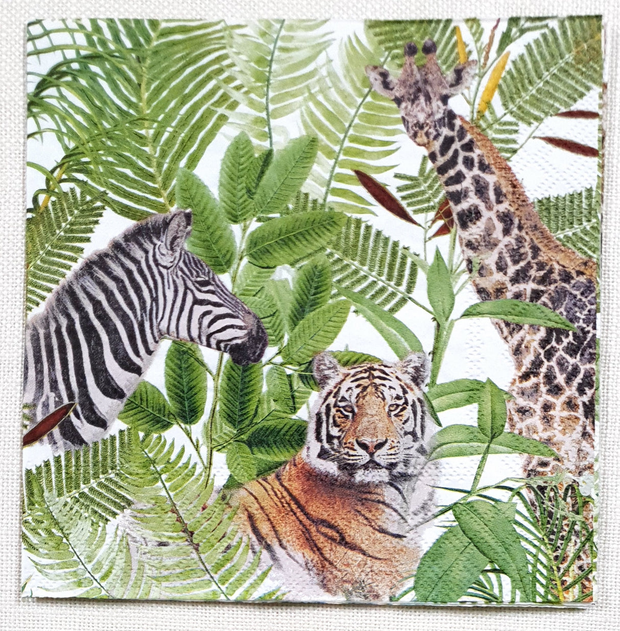 Decoupage Napkin - (DN-8442) - Safari