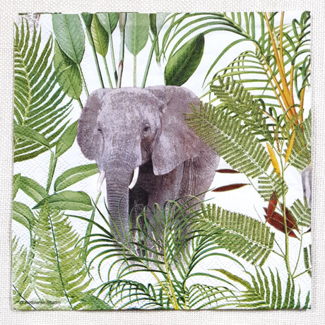 Decoupage Napkin - (DN-8442) - Safari