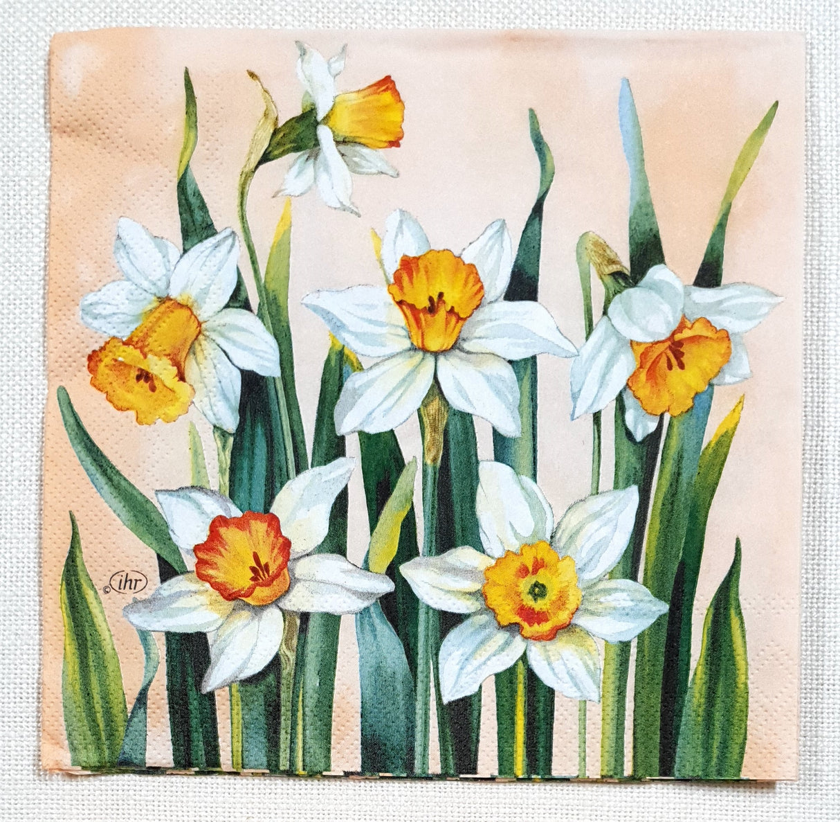 Decoupage Napkin - (DN-8452) - White Narcissus - Apricot