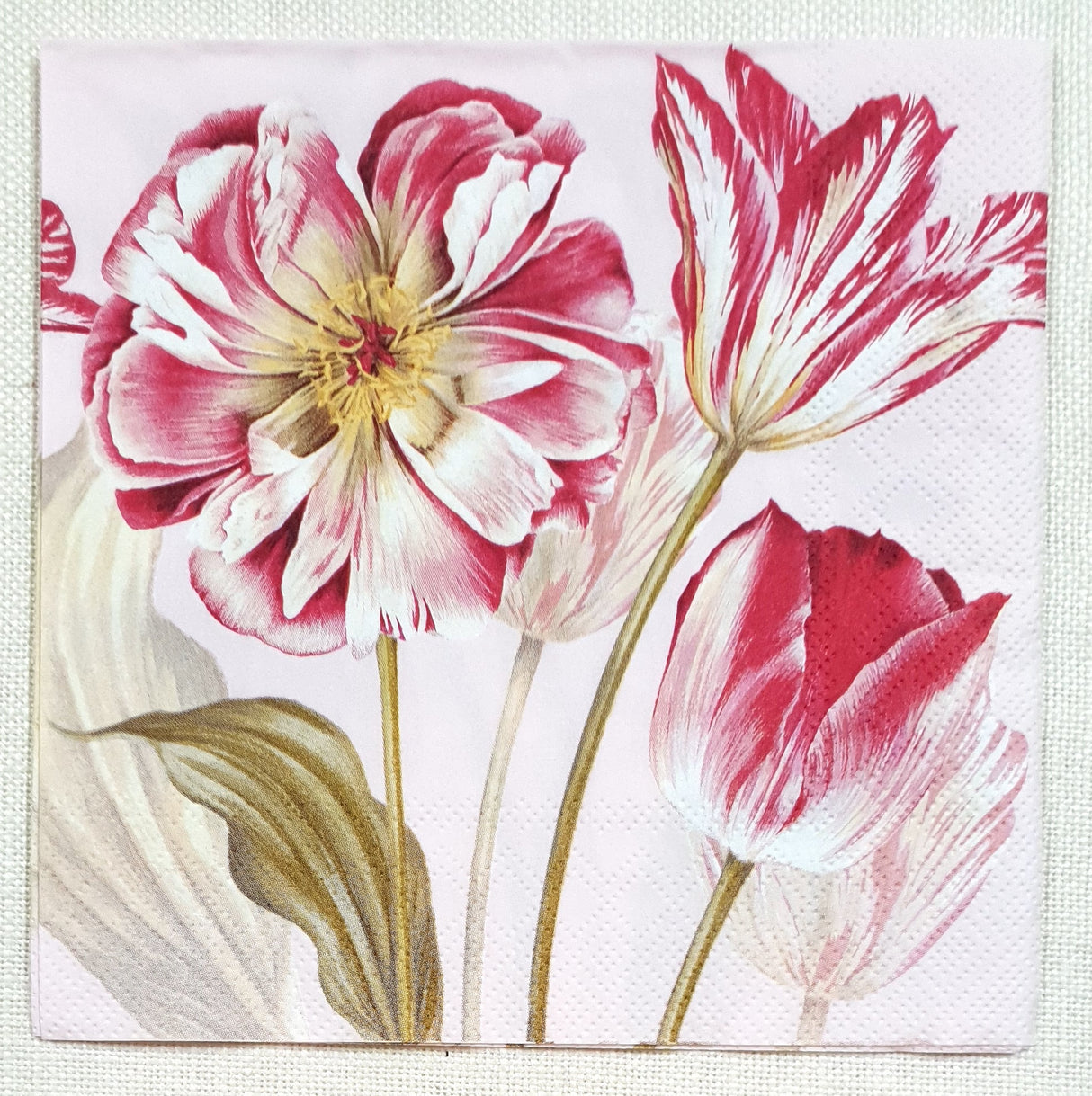 Decoupage Napkin - (DN-8502) - Majestic Tulips - Rose