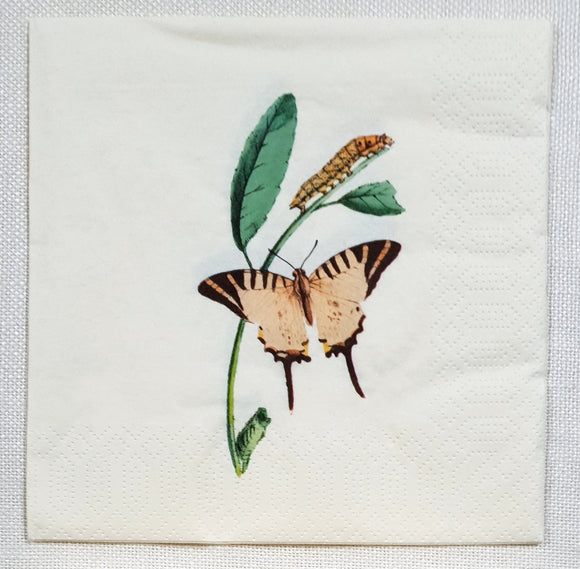 Decoupage Napkin - (DN-8569) - Nature Butterfly