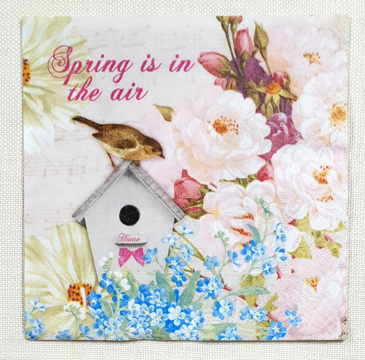 Decoupage Napkin - (DN-8575) - Bird House