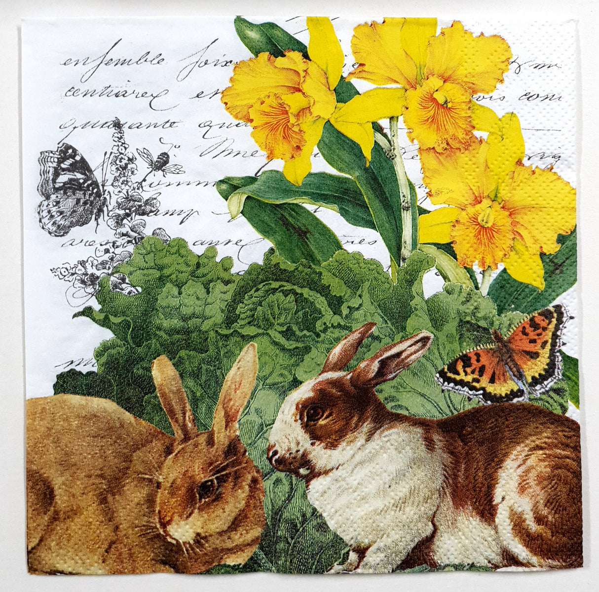 Decoupage Napkin - (DN-8729) - Hare Cabbage