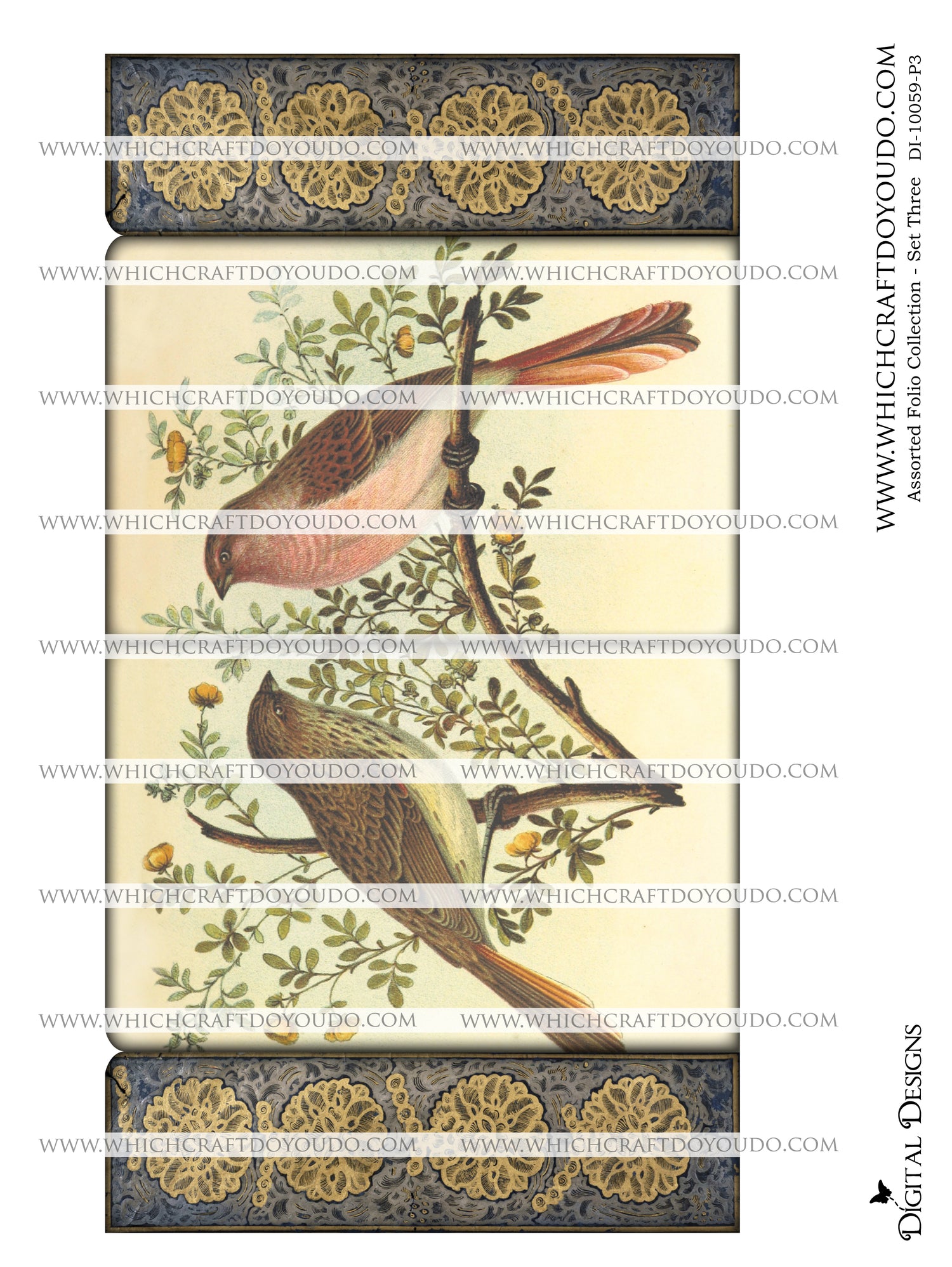 Assorted Folio Collection - Set Three - DI-10059 - Digital Download