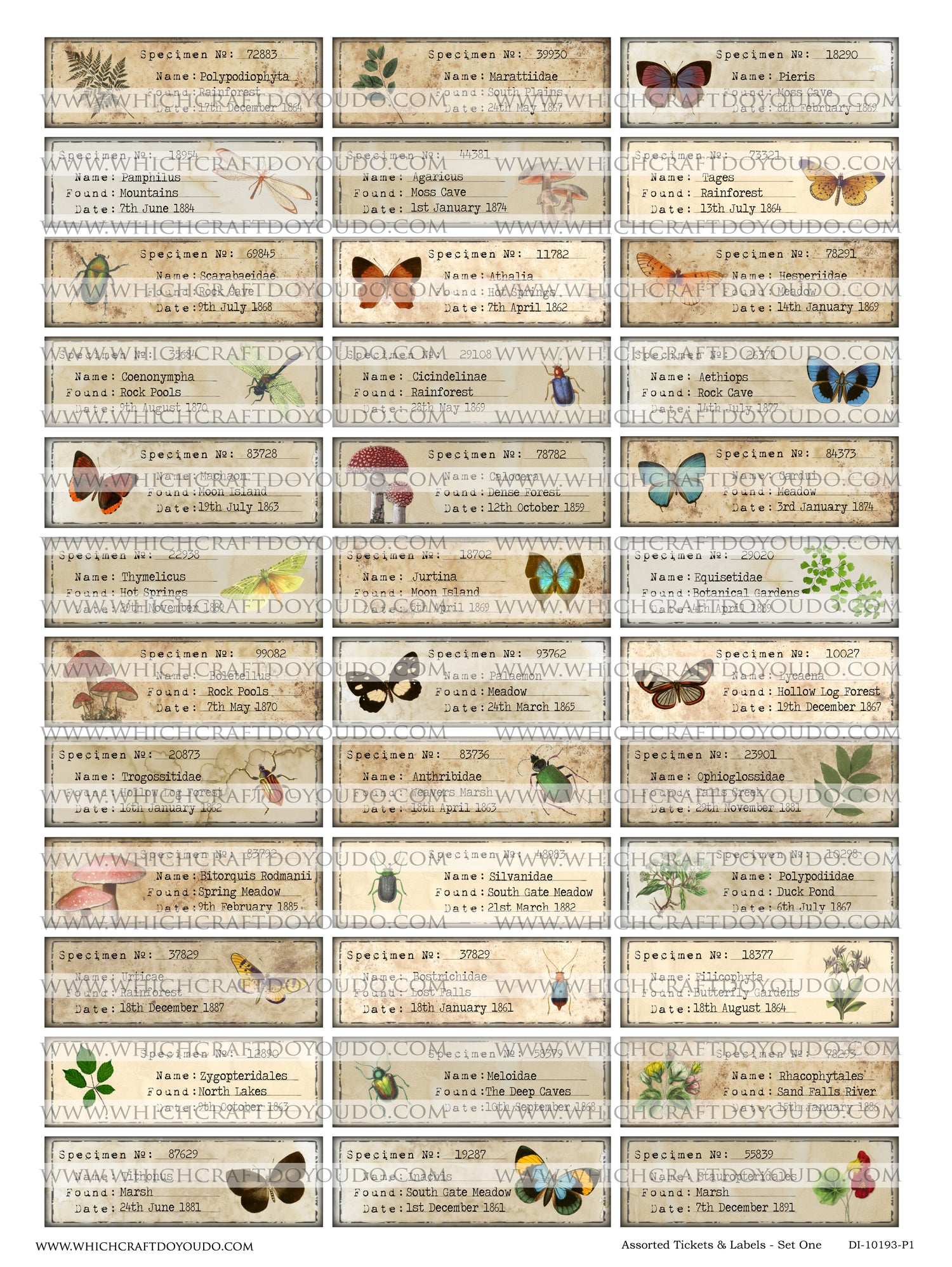 Assorted Tickets & Labels - Set One - DI-10193 - Digital Download