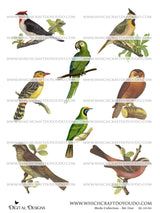 Birds Collection - Set One - DI-10194 - Digital Download