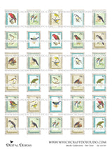 Birds Collection - Set One - DI-10194 - Digital Download