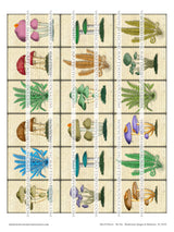 Bits & Pieces - Set Six - Mushrooms Images & Elements - DI-10229 - Digital Download