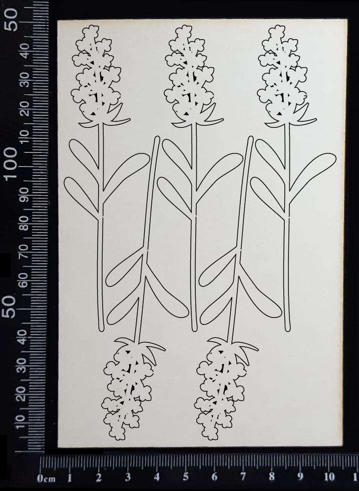 Botanical Set - AN - White Chipboard