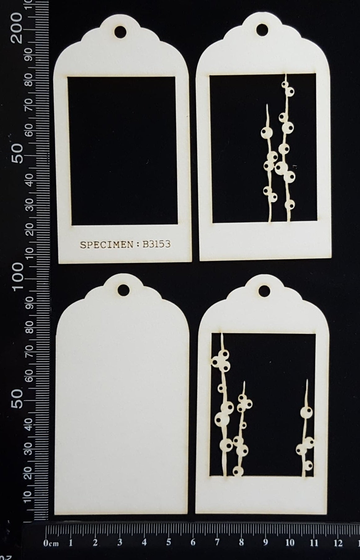 Botanical - Mini Shadow Box - A - White Chipboard