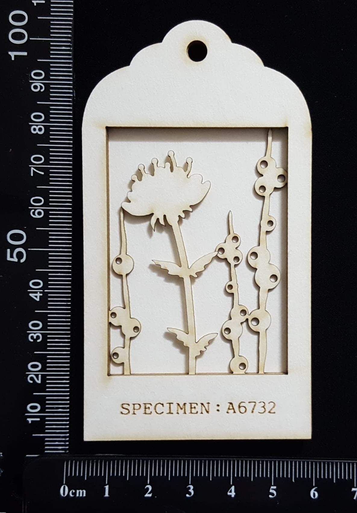Botanical - Mini Shadow Box - B - White Chipboard