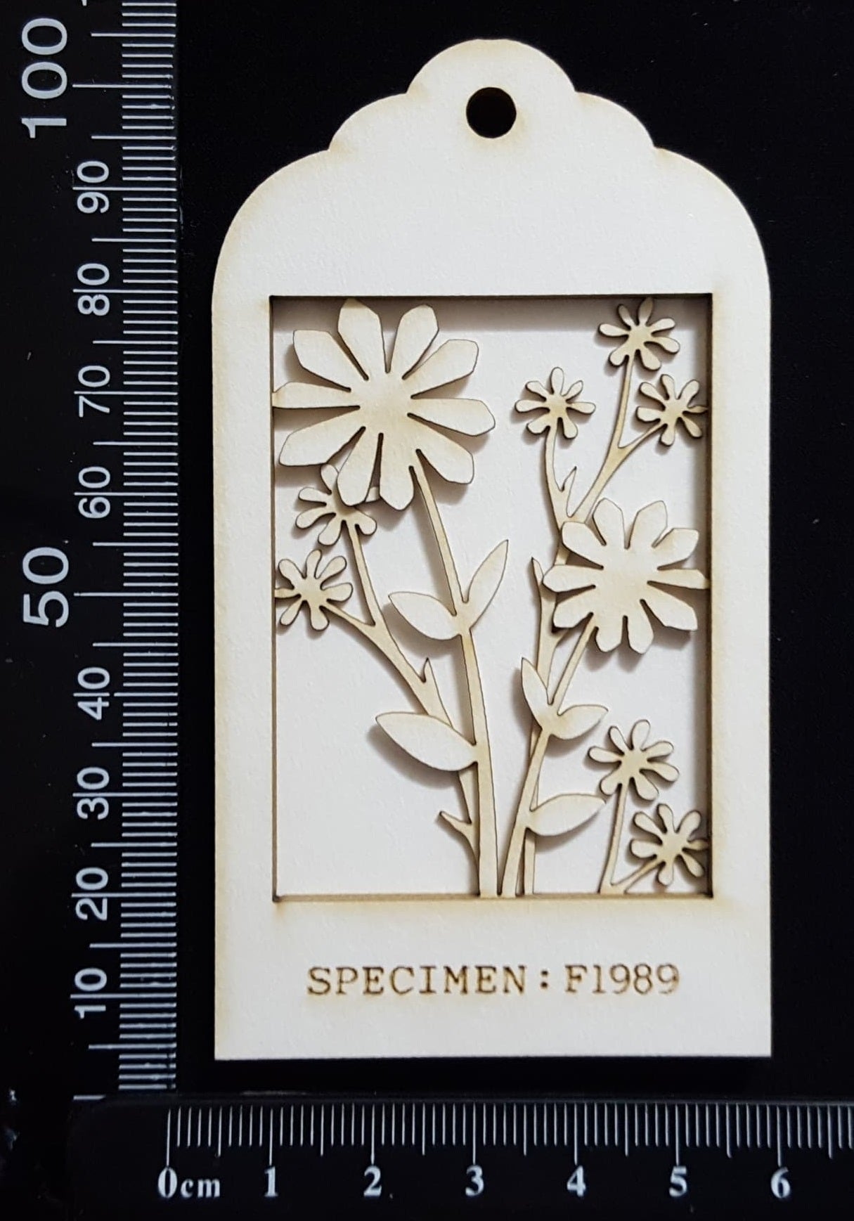 Botanical - Mini Shadow Box - C - White Chipboard