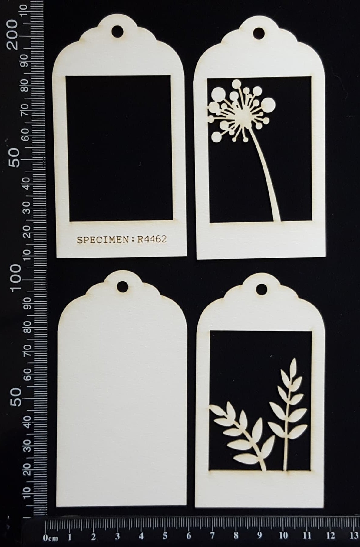 Botanical - Mini Shadow Box - D - White Chipboard