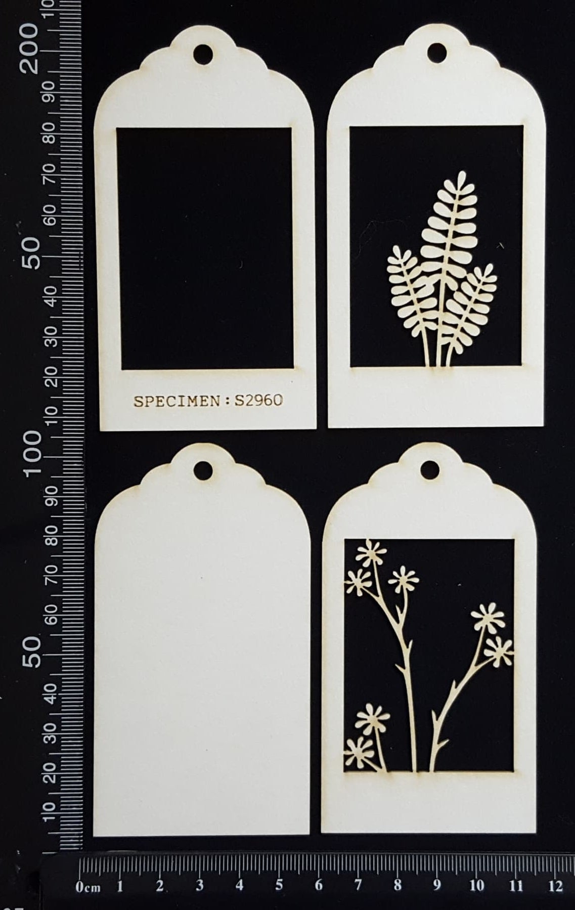 Botanical - Mini Shadow Box - F - White Chipboard