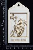 Botanical - Mini Shadow Box - F - White Chipboard