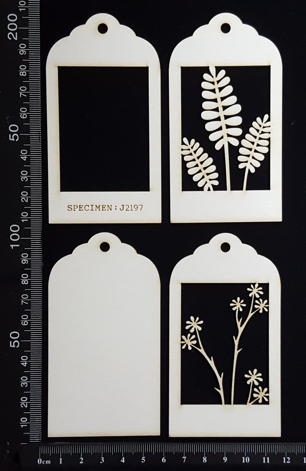 Botanical - Mini Shadow Box - G - White Chipboard