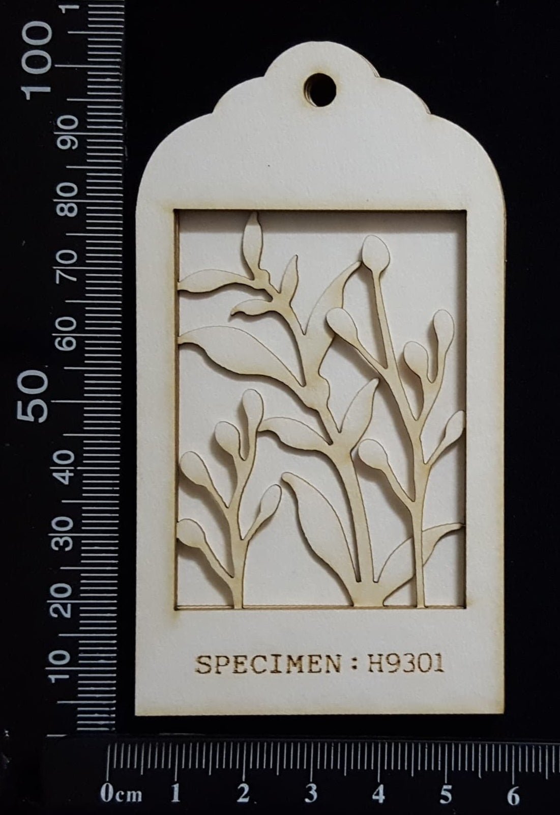 Botanical - Mini Shadow Box - H - White Chipboard