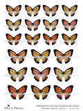 Butterflies Collection - Set Four - DI-10134 - Digital Download