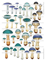 Mushroom Collection - Set Two - DI-10213 - Digital Download